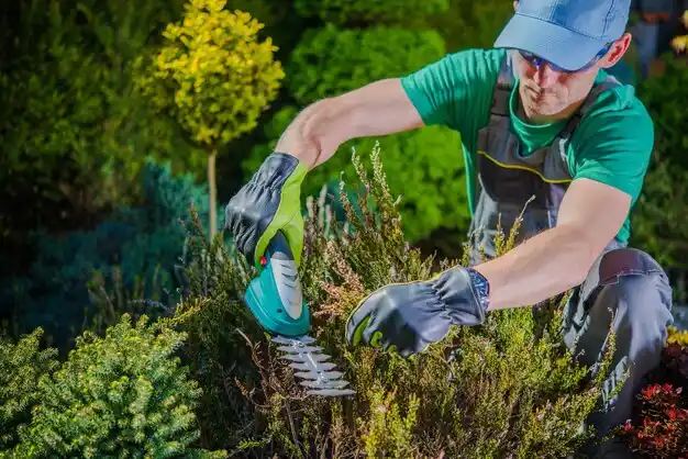 landscaping services Dry Run